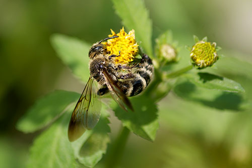 c0184125_1136445.jpg