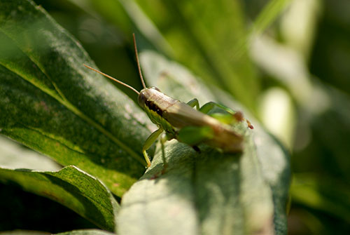c0184125_11374852.jpg