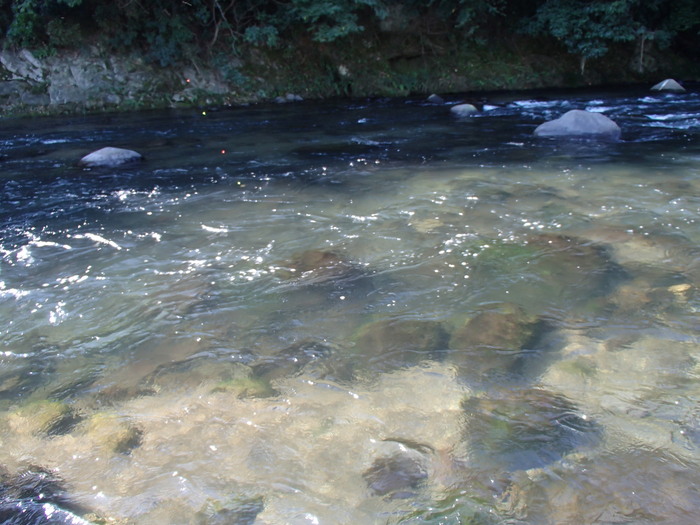 d0172227_6105982.jpg