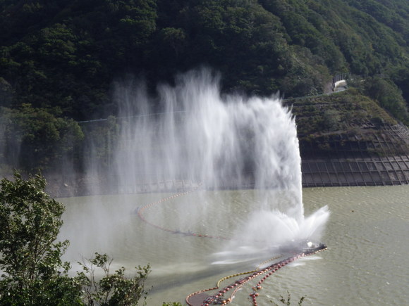 f0118332_2015168.jpg