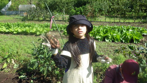 c0300035_15444219.jpg