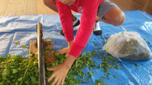 c0300035_1645280.jpg