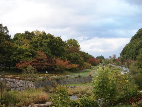 c0117239_856013.jpg