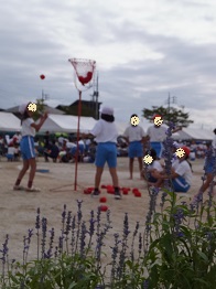 a0262841_17391341.jpg