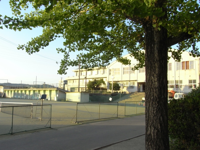 a0133142_2059528.jpg
