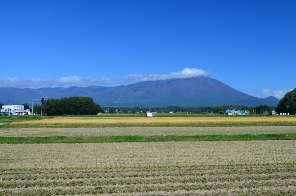 d0283357_18714100.jpg