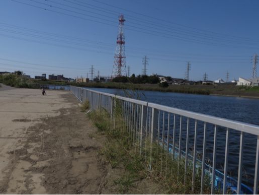 f0230961_190277.jpg