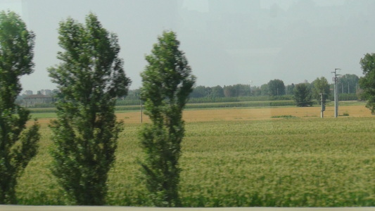 c0076764_701937.jpg