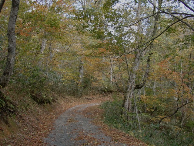 d0010065_20374158.jpg