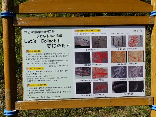 b0164670_1918337.jpg