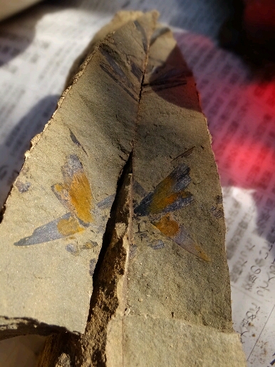 b0164670_19205261.jpg