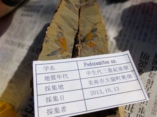 b0164670_19211150.jpg