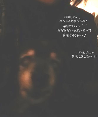 b0249672_19542336.jpg