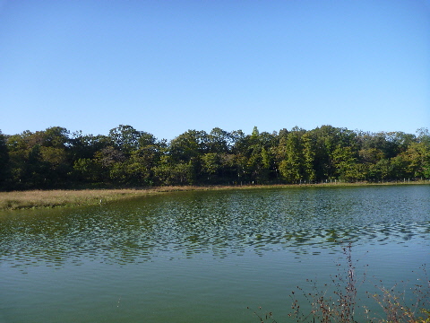 e0161972_2085697.jpg