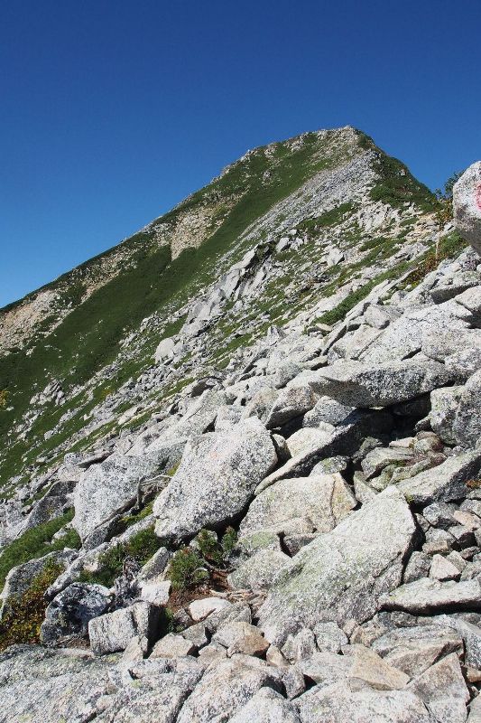 e0307372_1421524.jpg