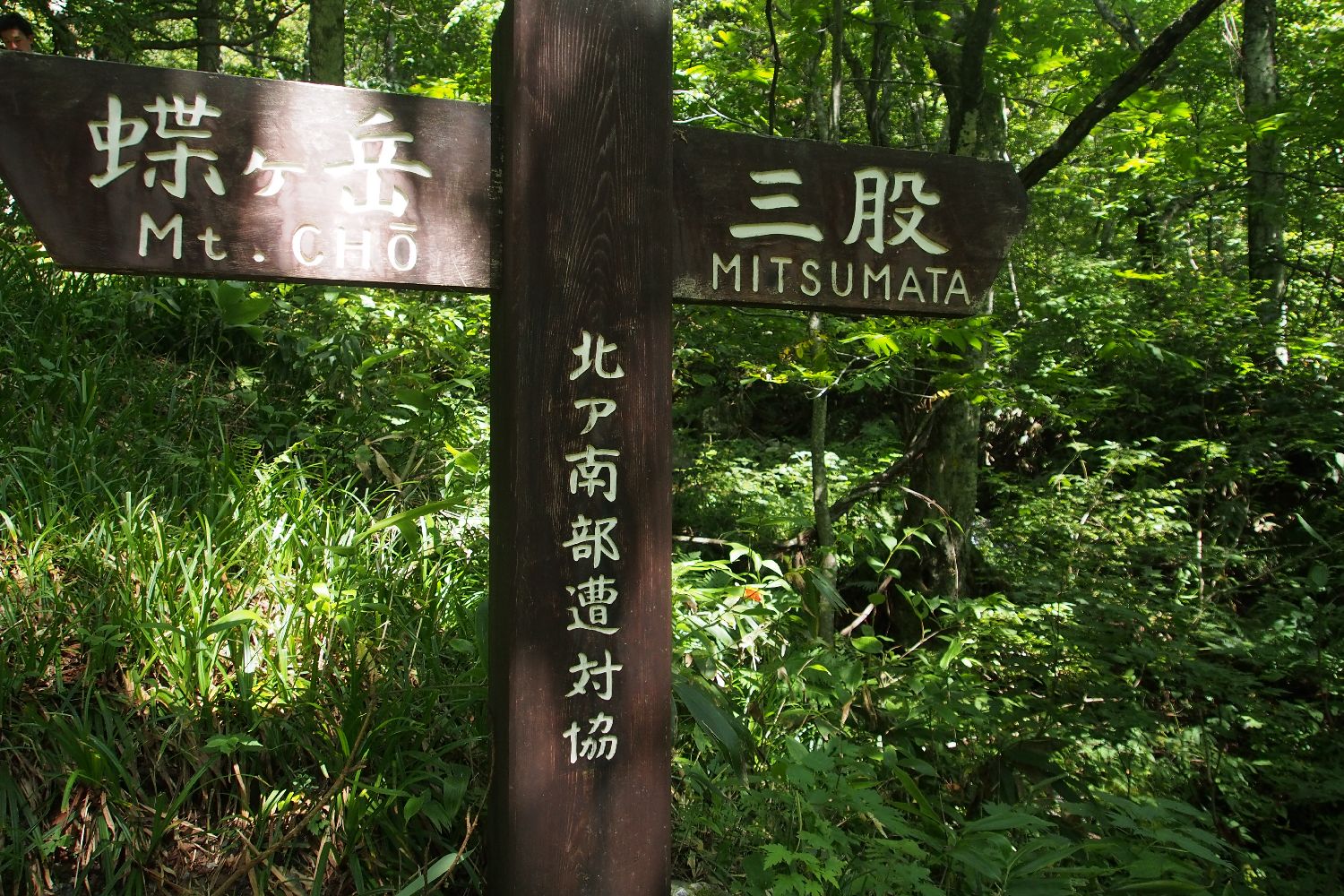 e0307372_16325950.jpg