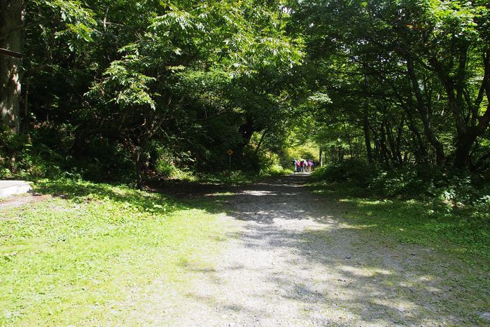 e0307372_16334273.jpg