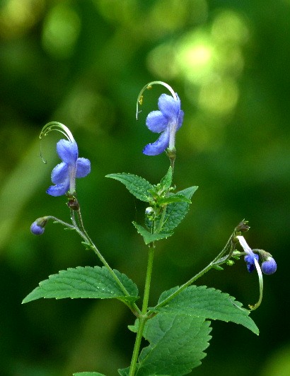 d0084473_20131414.jpg