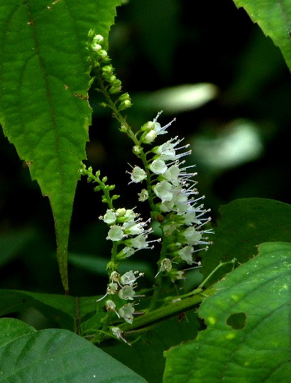 d0084473_2013589.jpg
