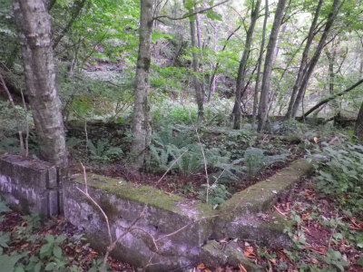 f0182173_22151260.jpg