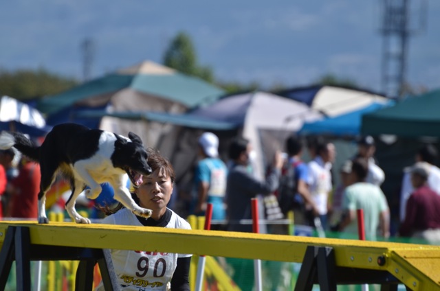 c0268774_1533255.jpg