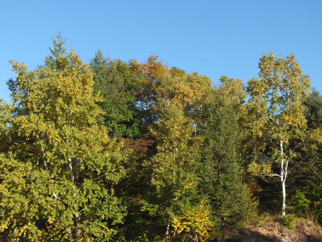 e0145782_17521242.jpg