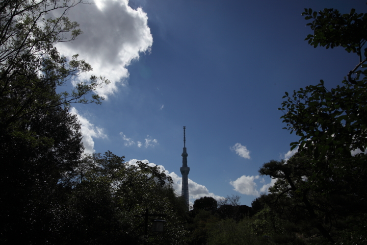 f0164989_13215147.jpg