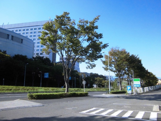 e0107493_220775.jpg