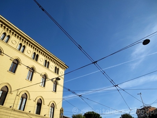 b0096600_7293848.jpg
