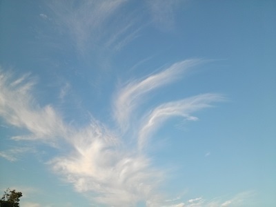 c0047602_16404599.jpg
