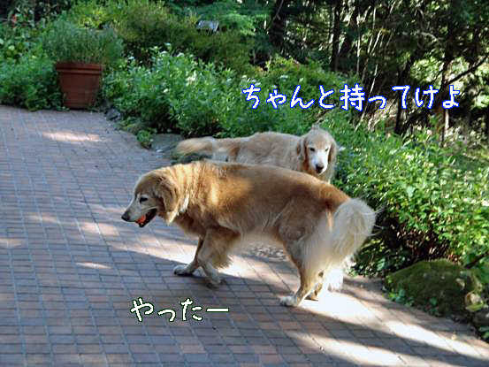 f0064906_1659272.jpg