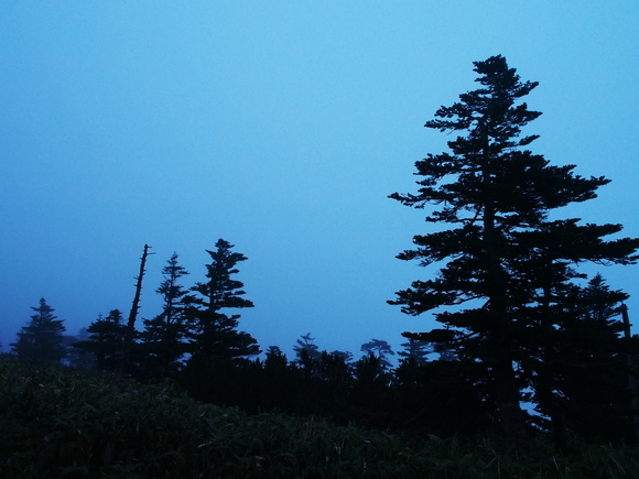 f0302208_12153480.jpg