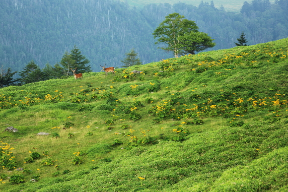 f0302208_2012957.jpg