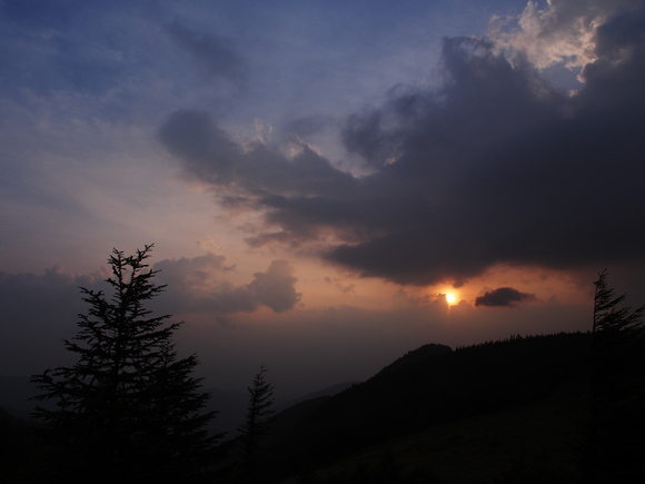 f0302208_2015111.jpg