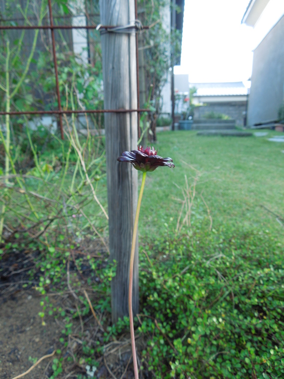 f0297809_22585382.jpg