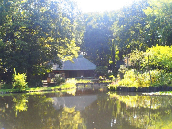 c0186410_23281220.jpg