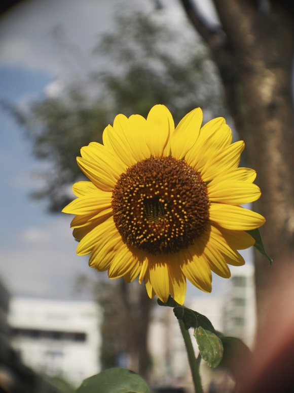 c0186410_23352289.jpg