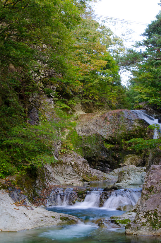 b0306017_2074935.jpg