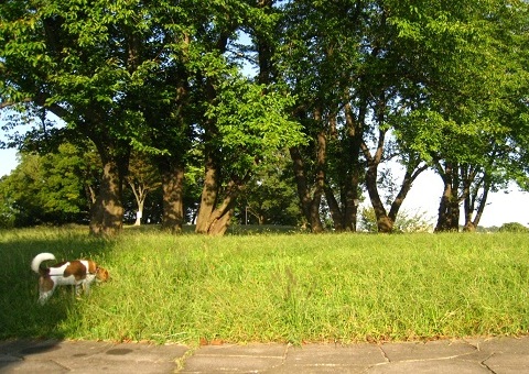 c0084117_1925225.jpg