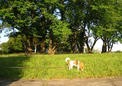c0084117_19255288.jpg