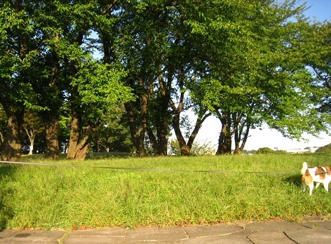 c0084117_1926157.jpg