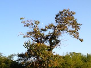 f0086618_21561587.jpg