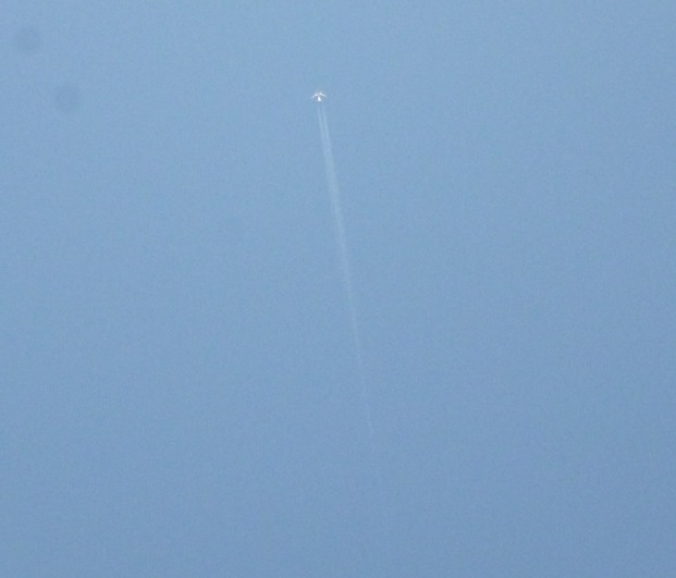 f0228619_714418.jpg