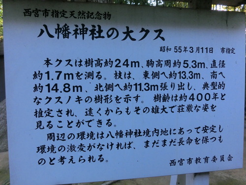 e0179321_1611667.jpg