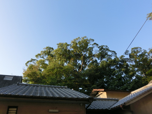 e0179321_16262238.jpg
