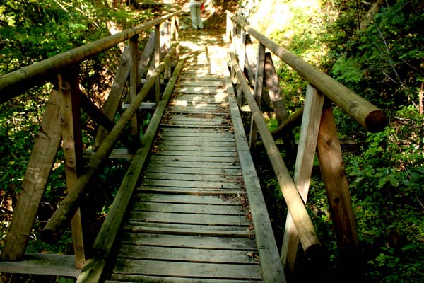 b0122522_18444720.jpg