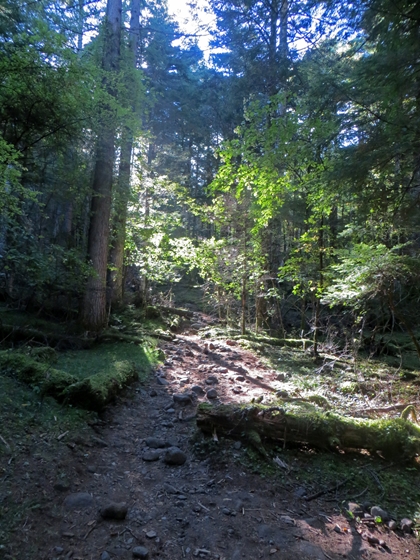 f0040525_14553515.jpg