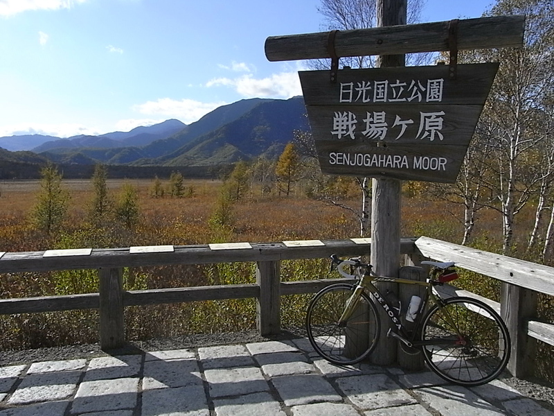 e0053327_22523318.jpg