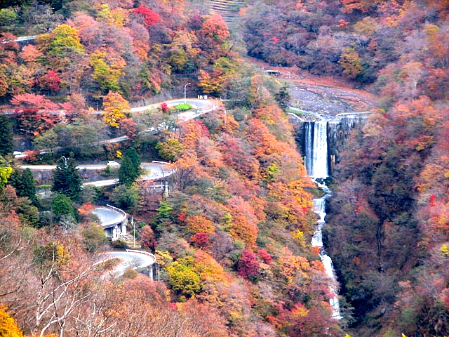 e0053327_23214474.jpg