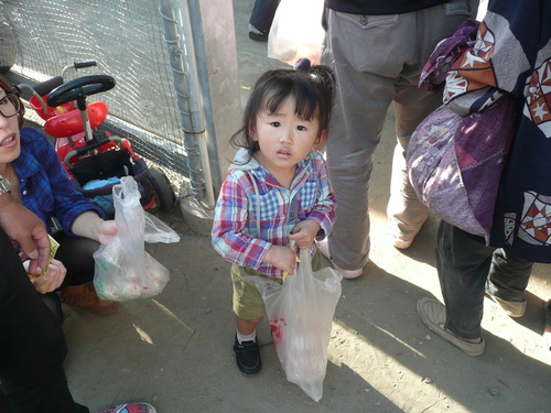 c0009528_23331185.jpg